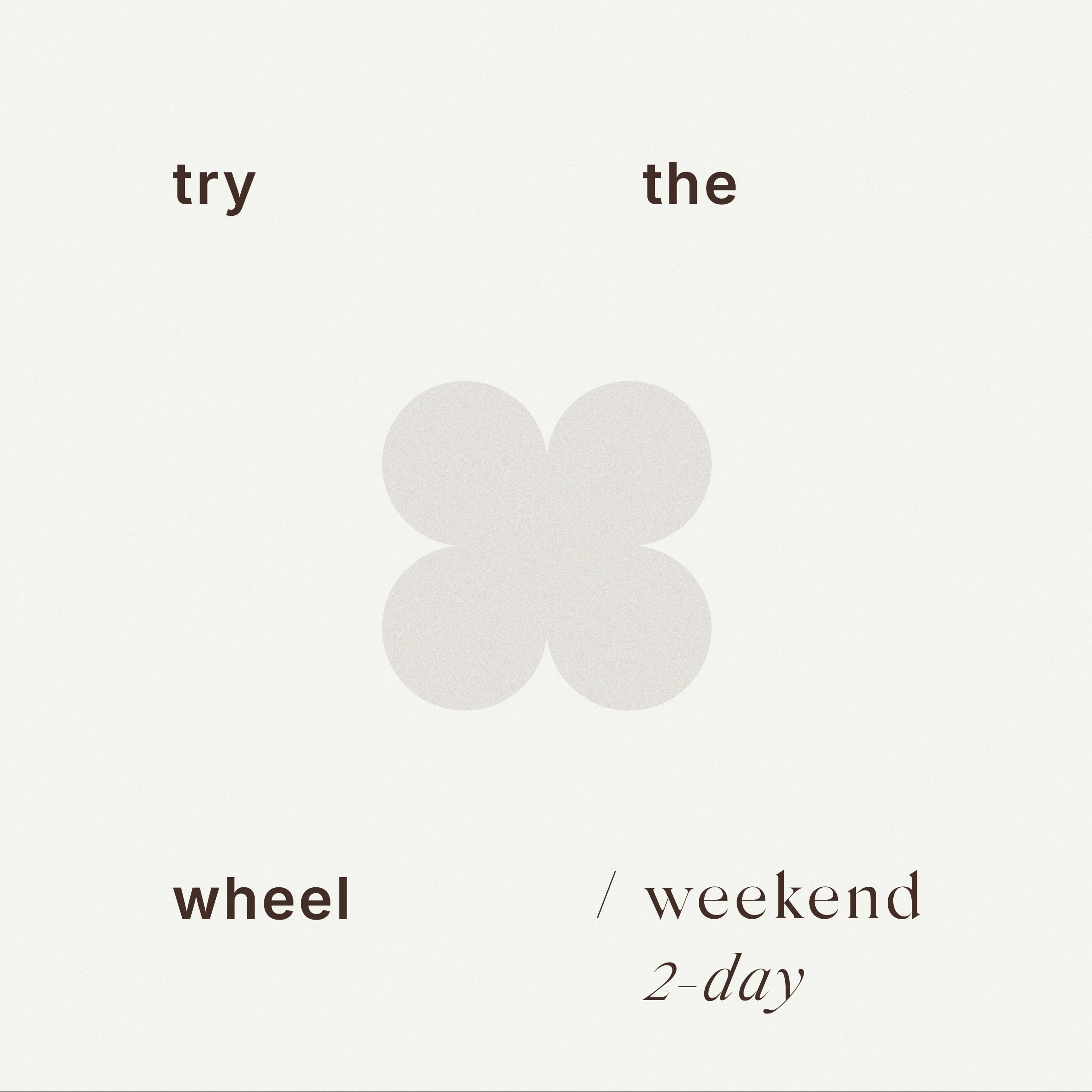 Try the Wheel - weekend (2 day) October 11-12